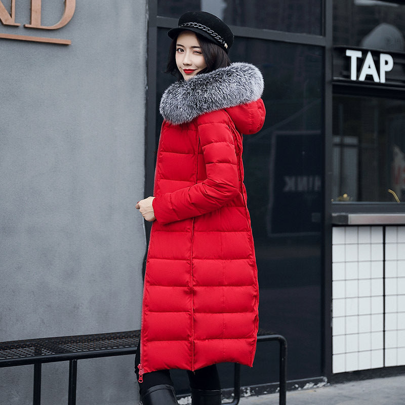 Fur collar down jacket