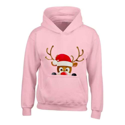 Kids XMAS1 "Hiding Reindeer" Hoodie