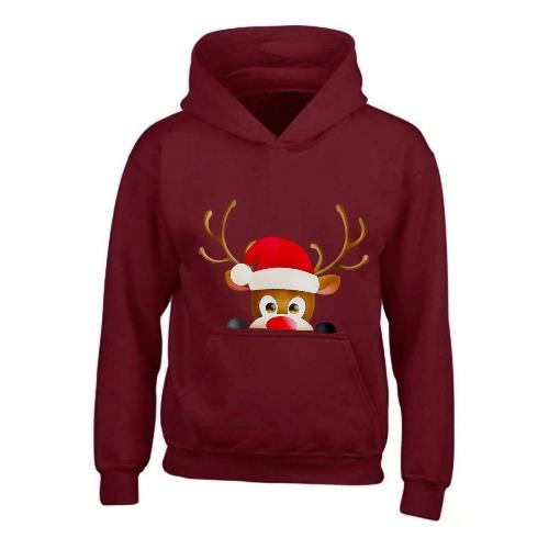 Kids XMAS1 "Hiding Reindeer" Hoodie