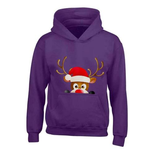 Kids XMAS1 "Hiding Reindeer" Hoodie