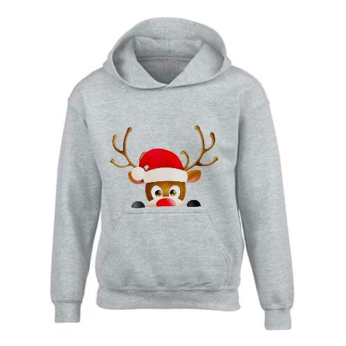 Kids XMAS1 "Hiding Reindeer" Hoodie